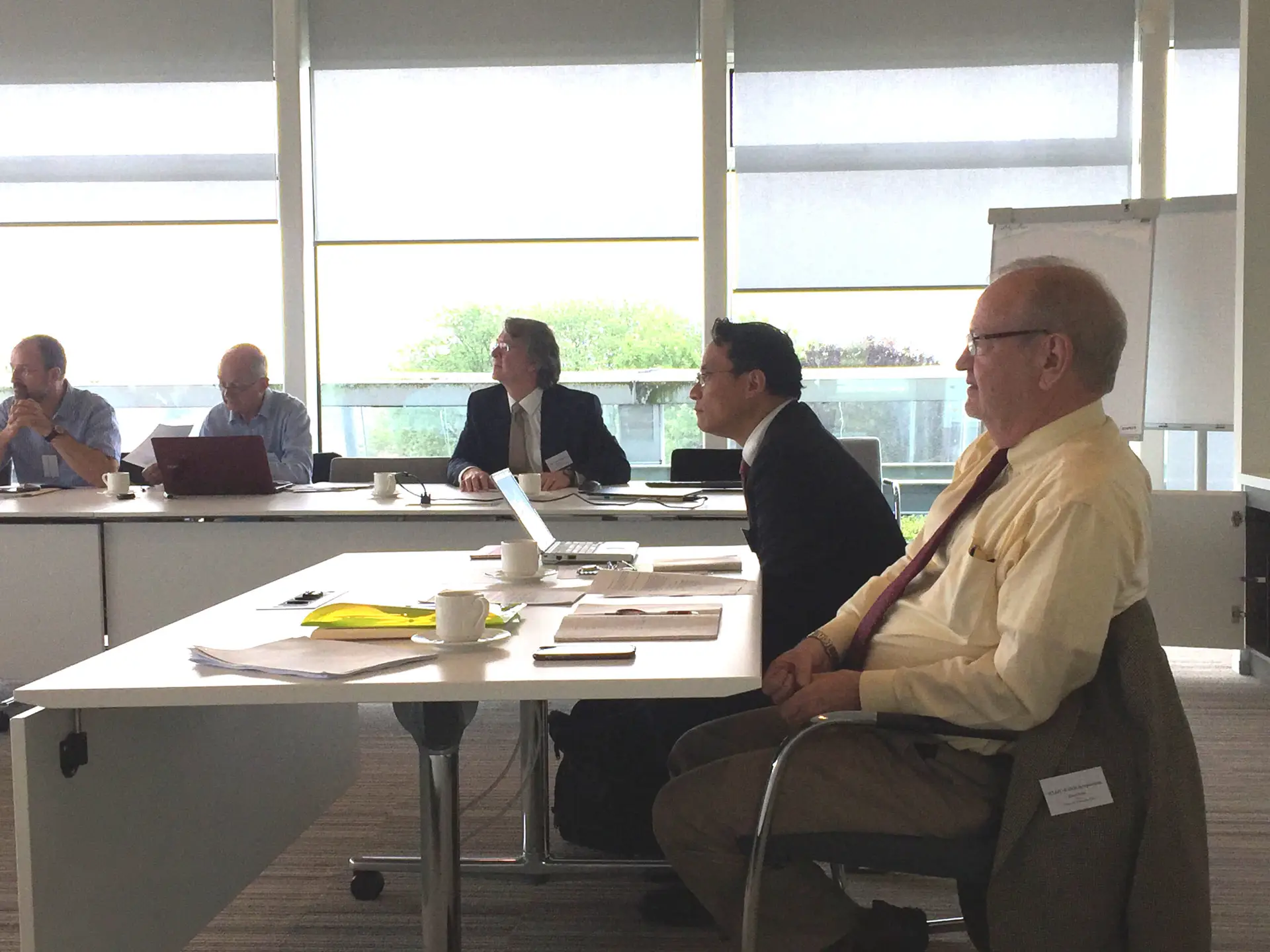 Participants at the 2017 ICLAFI Symposium in Amersfoort, the Netherlands. (Photograph by Dr Jack Tsen-Ta Lee.)